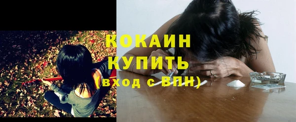 стафф Сафоново