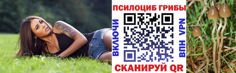 Галлюциногенные грибы Psilocybine cubensis  купить  сайты  Вытегра 